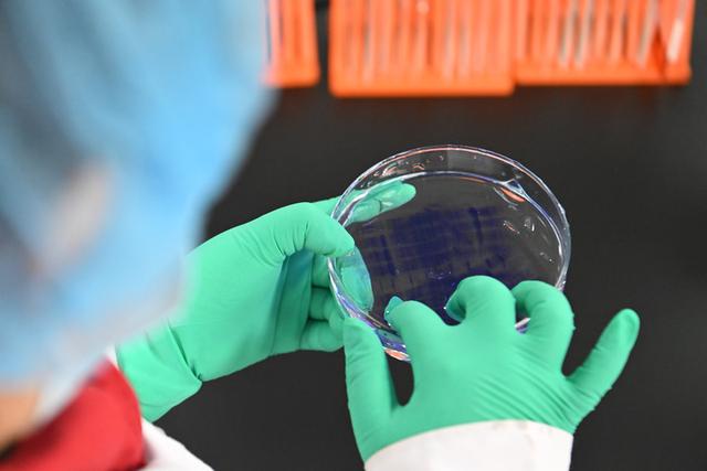 锚定新目标 奋力开新局——2025年中央经济工作会议侧记