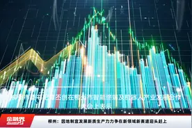 柳州：因地制宜发展新质生产力力争在新领域新赛道迎头赶上视频封面