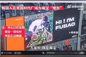 明查｜“福宝”在中国“受虐”？韩网友关心可以但指控无据图片