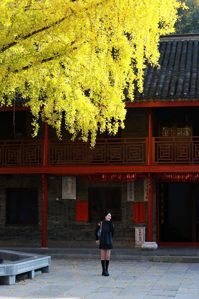 全国第二，南京栖霞山！