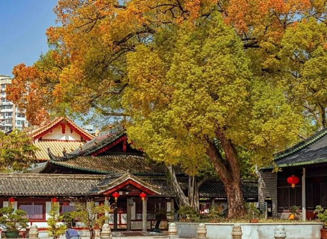 没想到，广州这里藏着“时空隧道”