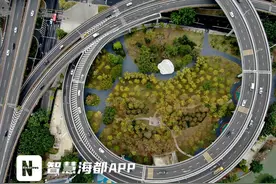 福州新添“花盆”美景！尤溪洲黄花风铃木公园焕新见面图片