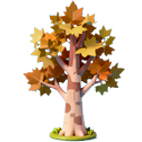 娄底：藏不住的诗意冬景，每帧都美到“心巴”上～