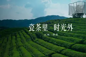 瓷茶里 时光外图片