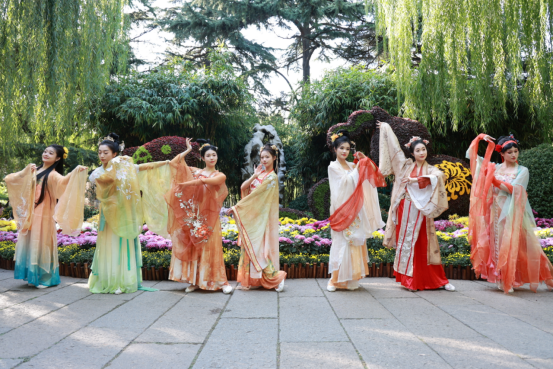 赏菊全攻略！第46届趵突泉金秋菊展即将点亮泉城秋色