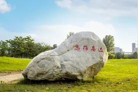 “小网格”汇聚“大能量” ！新郑这里探索校地共赢新模式图片