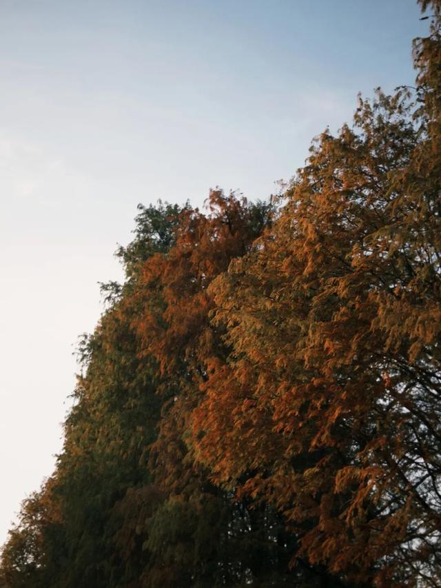 收藏这篇就够了！本地人私藏的广州逛吃指南