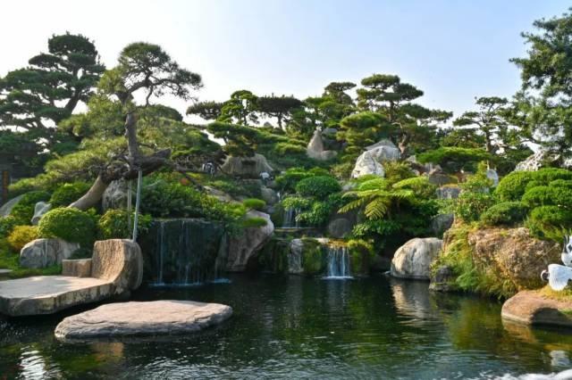 国庆就要玩好一点，“情”定陈村花花世界迷人眼