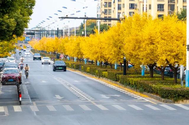 落叶基础，不“扫”兴的余杭就不基础