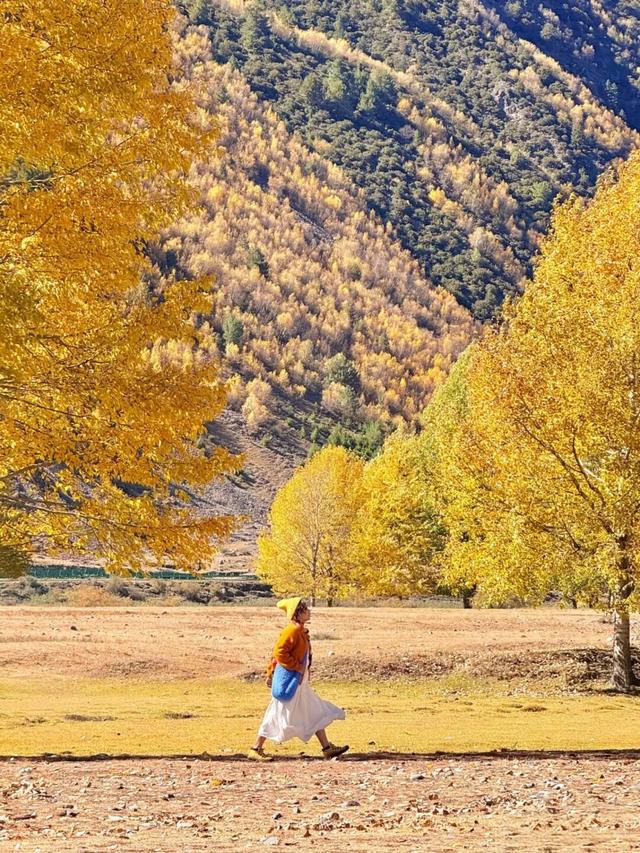 听说放秋假了？新都桥这波秋日余温太美了