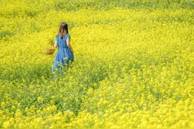 藏不住了！梁子湖畔有片坡地花海，五里见花十里飘香图片
