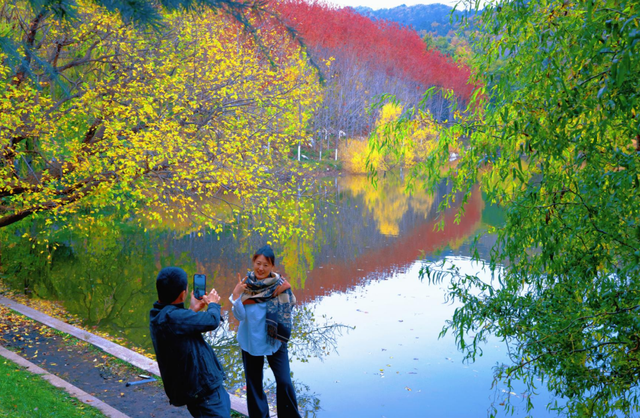 小红书上都在问地址？威海这个红枫湖美成画