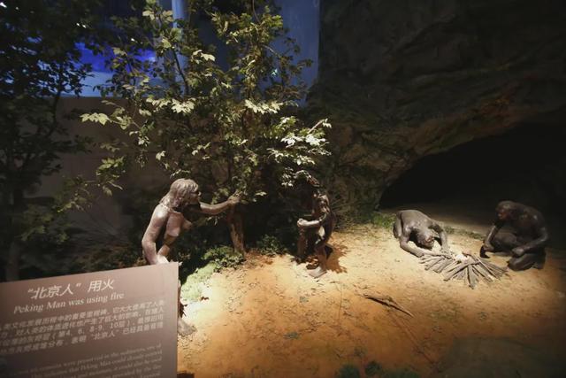 博物风情 | 在周口店遗址，遇见课本之外的历史