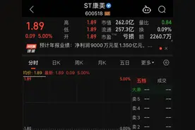 康美药业预计去年已扭亏为盈，公司股票涨停封板图片