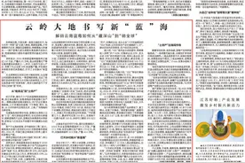 云岭大地书写新“蓝”海——解码云南蓝莓如何从“藏深山”到“销全球”图片