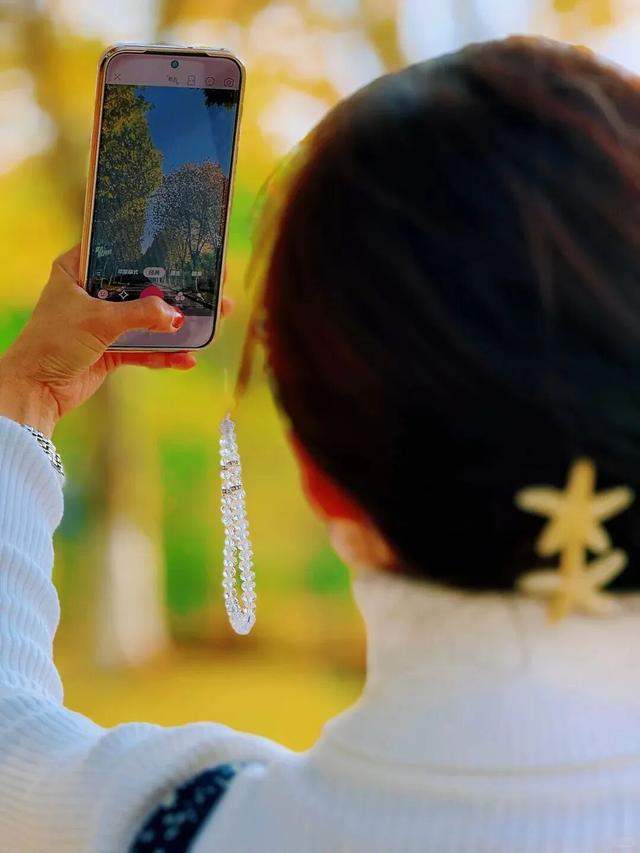 江西的这些“赏桐”胜地，治愈又出片！