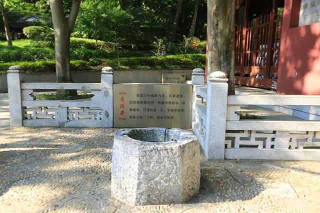 来听我们讲历史，免费！