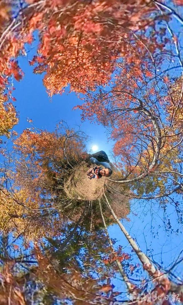 蕲春塔林的秋天，让人不愿离开