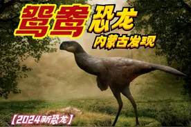 中国发现新恐龙以“鸳鸯”为名图片
