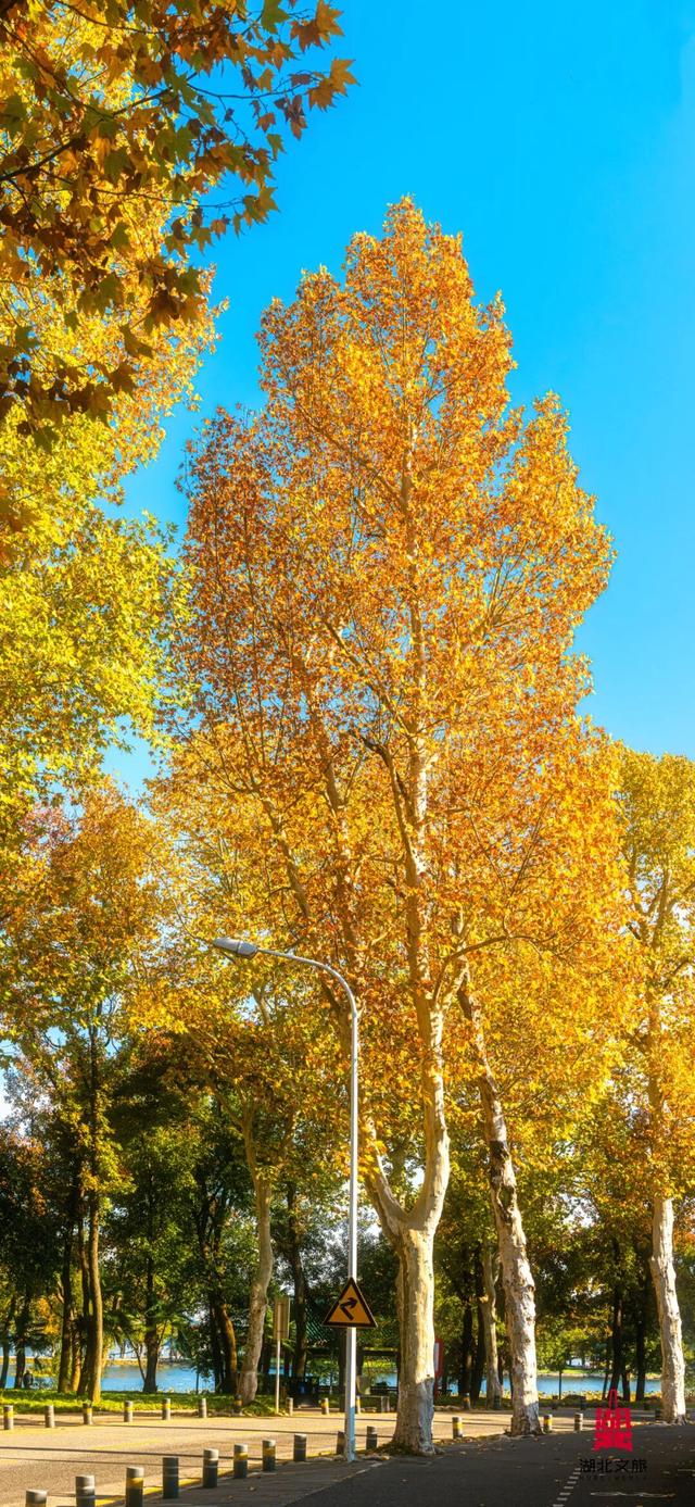 寒潮倒计时！再不来就迟了