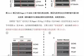 学生公布华中农大教授“造假证据”：将鼠的实验结果转移给猪图片