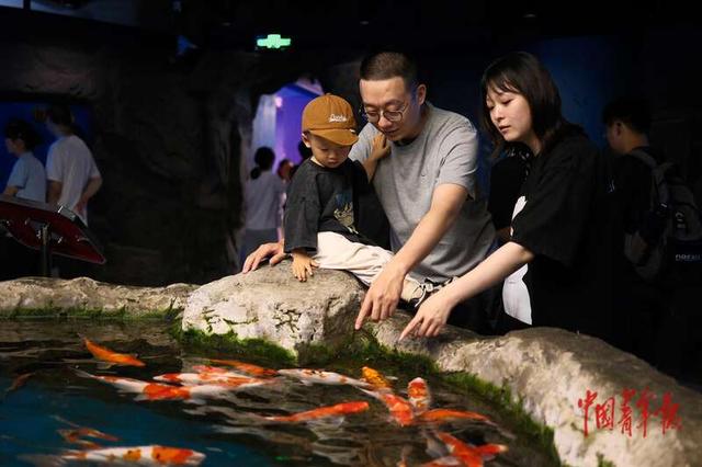 在国家自然博物馆度过难忘之夜