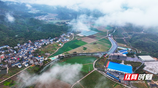 湖南新田：云雾缭绕乡村美如仙境（组图）