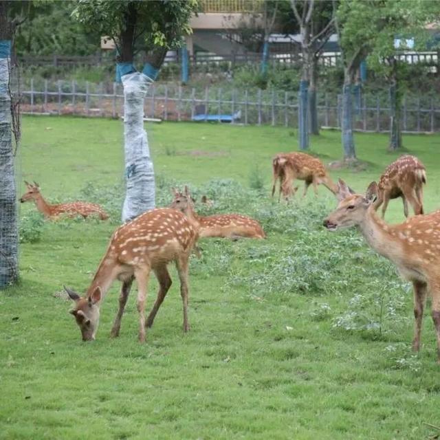 官宣！2026年南京43个景区免费开放日！