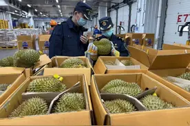 200元/个！很多人都爱吃！即将进入上市旺季，马上大降价……图片