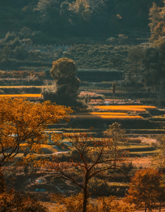 出发！快来奉化，“捡秋”啦！