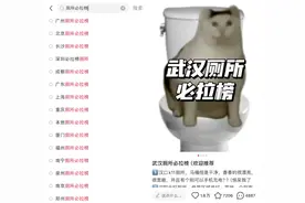 我在武汉当“厕所艺术家”：“吃喝拉撒睡”是生活关键词，厕所必拉榜走红不意外图片