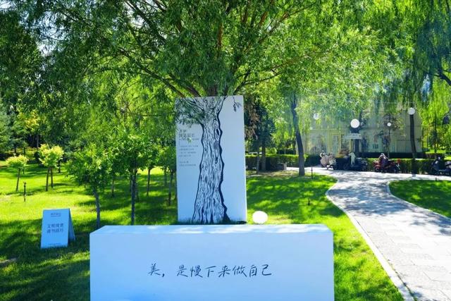 不止躺平！东胜区这处草坪的N种打开方式→