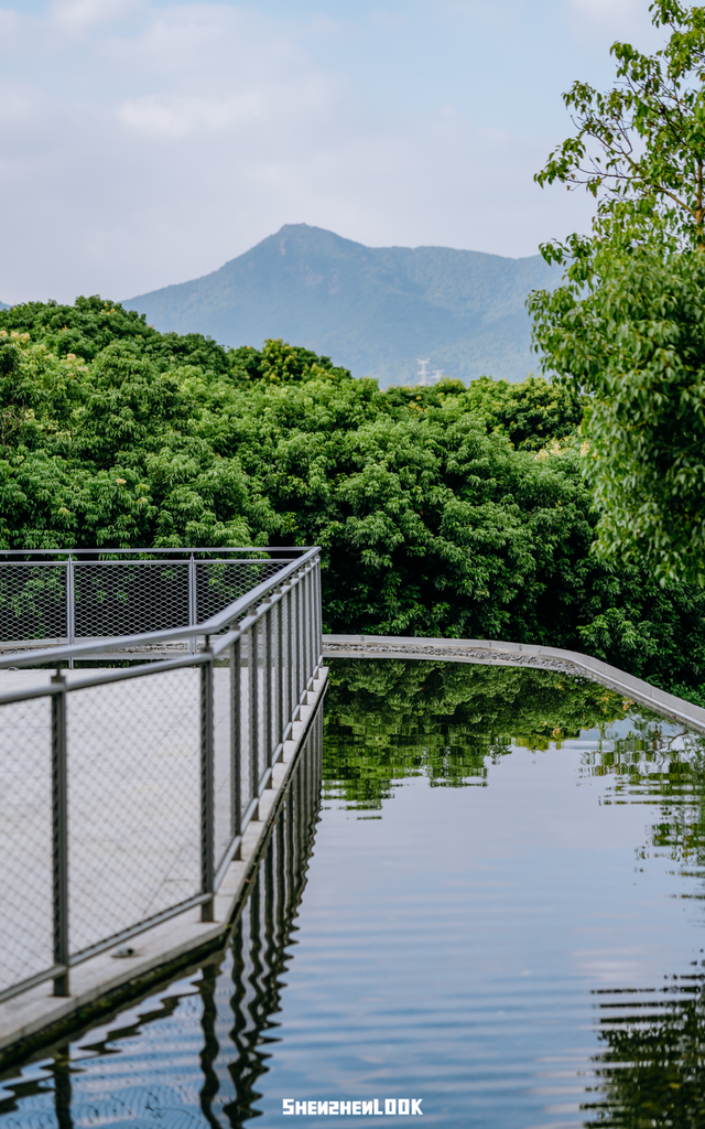 “看牛看海看夜景，深圳骑行路线精选”