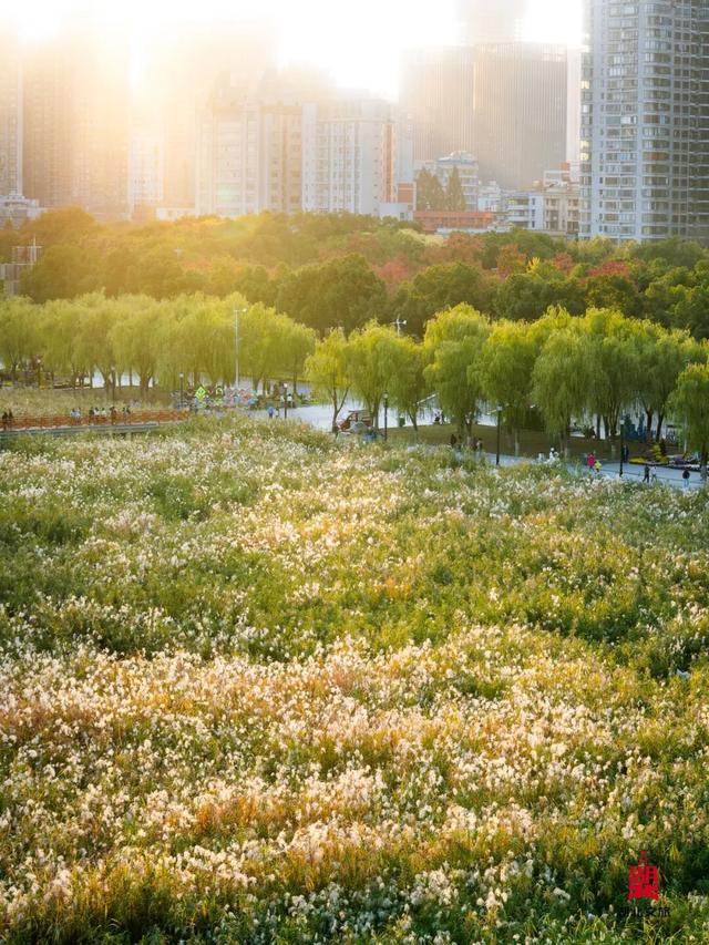 寒潮倒计时！再不来就迟了