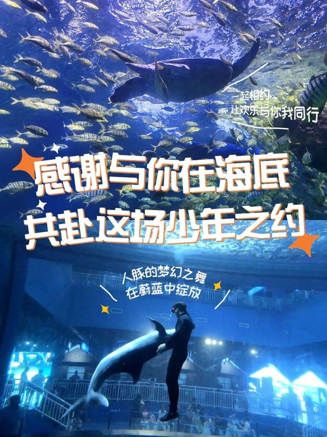 Hello，新生！来这里打开认识曲江的第一步
