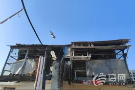 天台养鸽子引邻居不满 执法人员责令限期清理图片