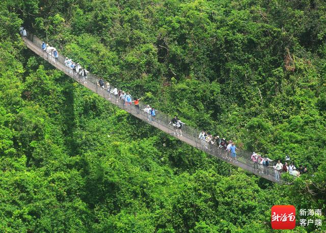 组图｜“海南避暑”成真 游客漫步三亚亚龙湾热带天堂森林旅游区