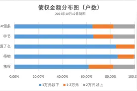 华瑞银行拟转让3亿元债权，来自5家渠道方的逾期情况公开｜大鱼财经图片