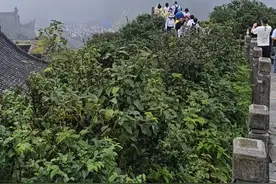 登梵净山：“独隆”于天地如“天空之城”，人与自然和谐共生图片