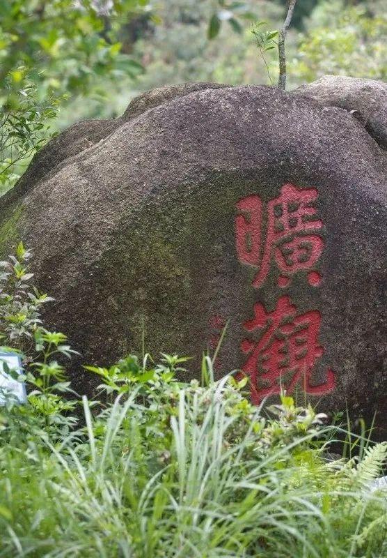 上新！珠海绝美公园！