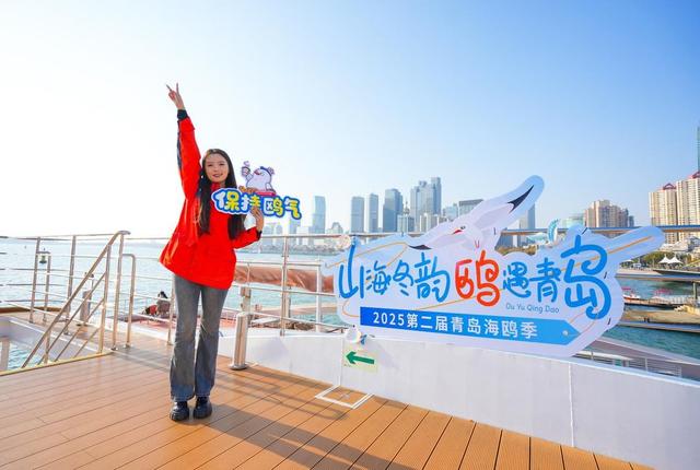 山海冬韵・鸥遇青岛 | “上天入海”场景联动，市南邀您开启鸥遇之旅