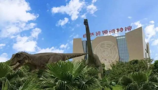 南宁高温“烤”验？这些室内圣地拍照+打卡两不误