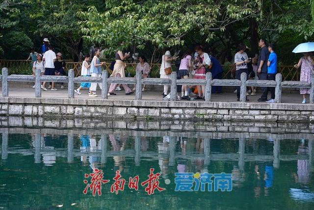 一年四季 泉在济南丨泉涌潺潺迎处暑 五龙潭畔游人乐