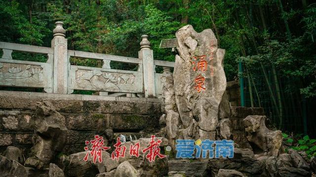 涌泉竹林景区泉竹相依，市民山间赏泉纳凉的好去处
