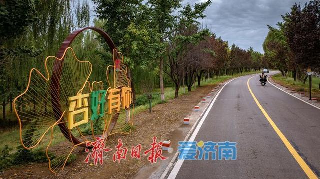一年四季 泉在济南丨济南百里黄河公路生态廊道：生态与人文交融的打卡胜地