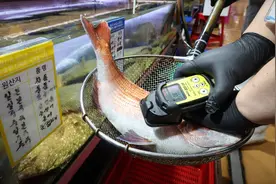 疯抢核辐射检测仪：有人测海鲜、有人测化妆品图片