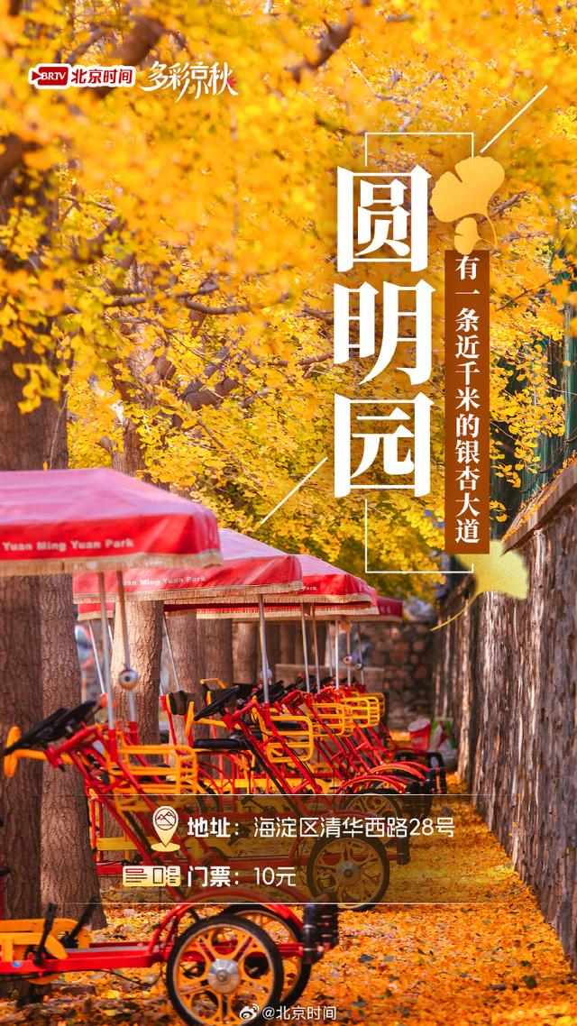 北京十大赏银杏好去处，这三处免费，您都去过吗？