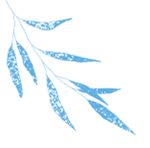 悦·遵义 | 冬游播州——约会太阳坪，冰雪暖世界