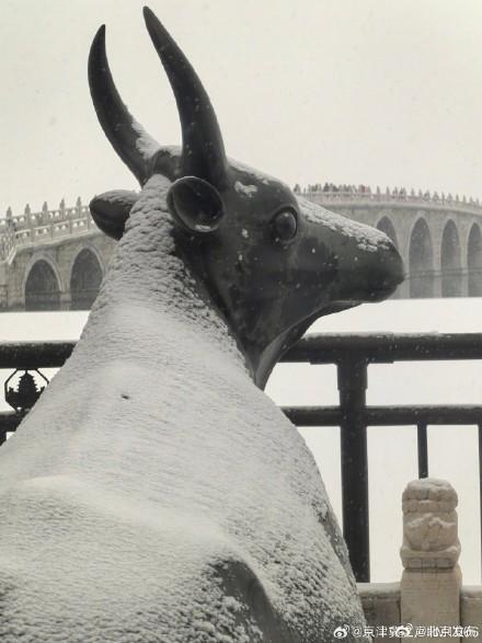 北京初雪把颐和园泼成水墨长卷