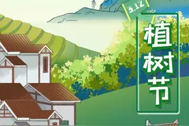3·12植树节｜林草兴则生态兴 为祖国添“绿”图片